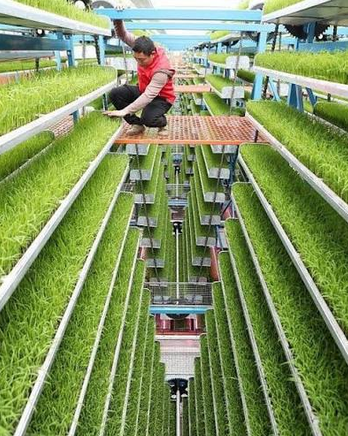 Vertical farming technology